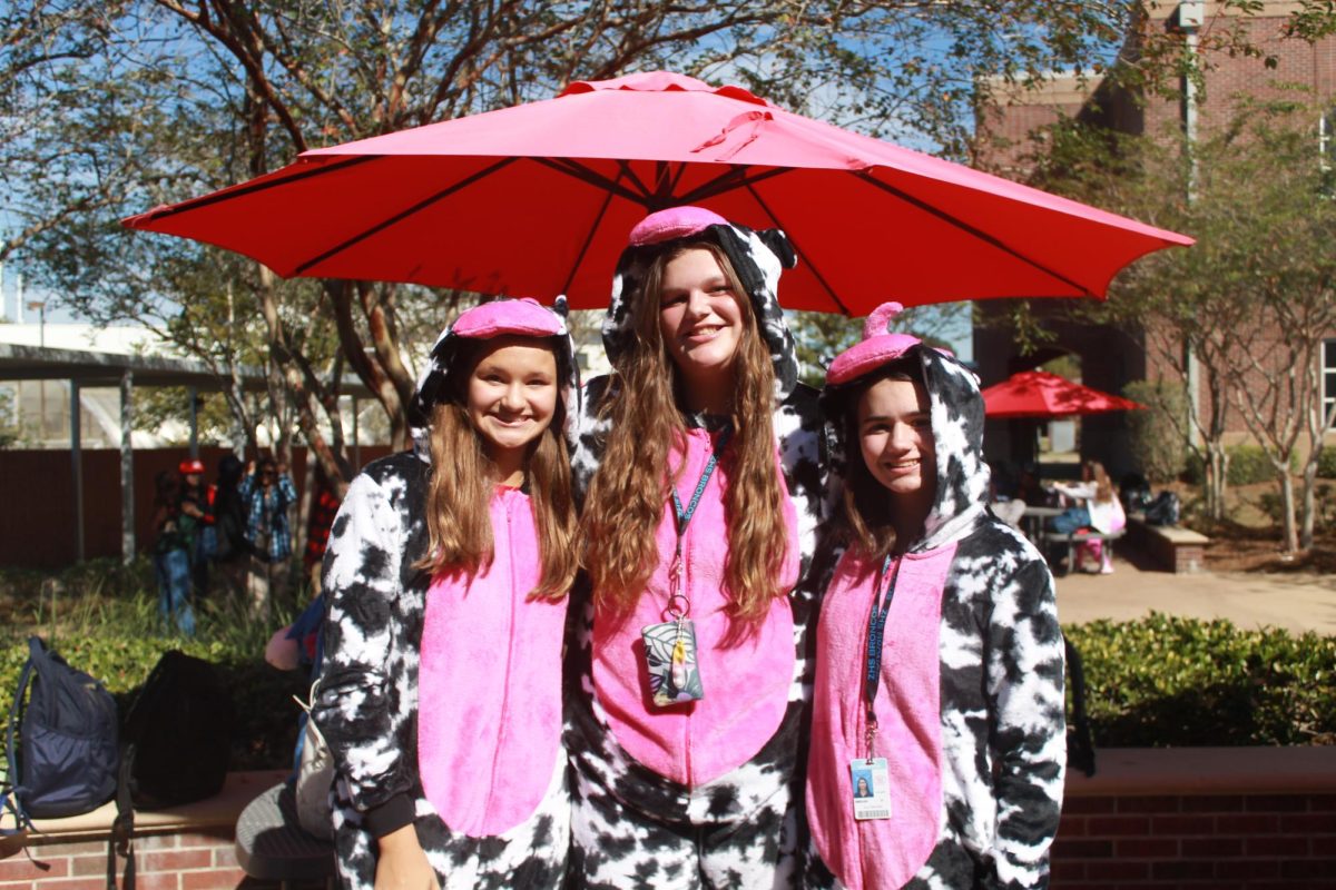Ally Brown (10), Amelia Woodard (10), Chole Weblad (10) pose as matching cows! 