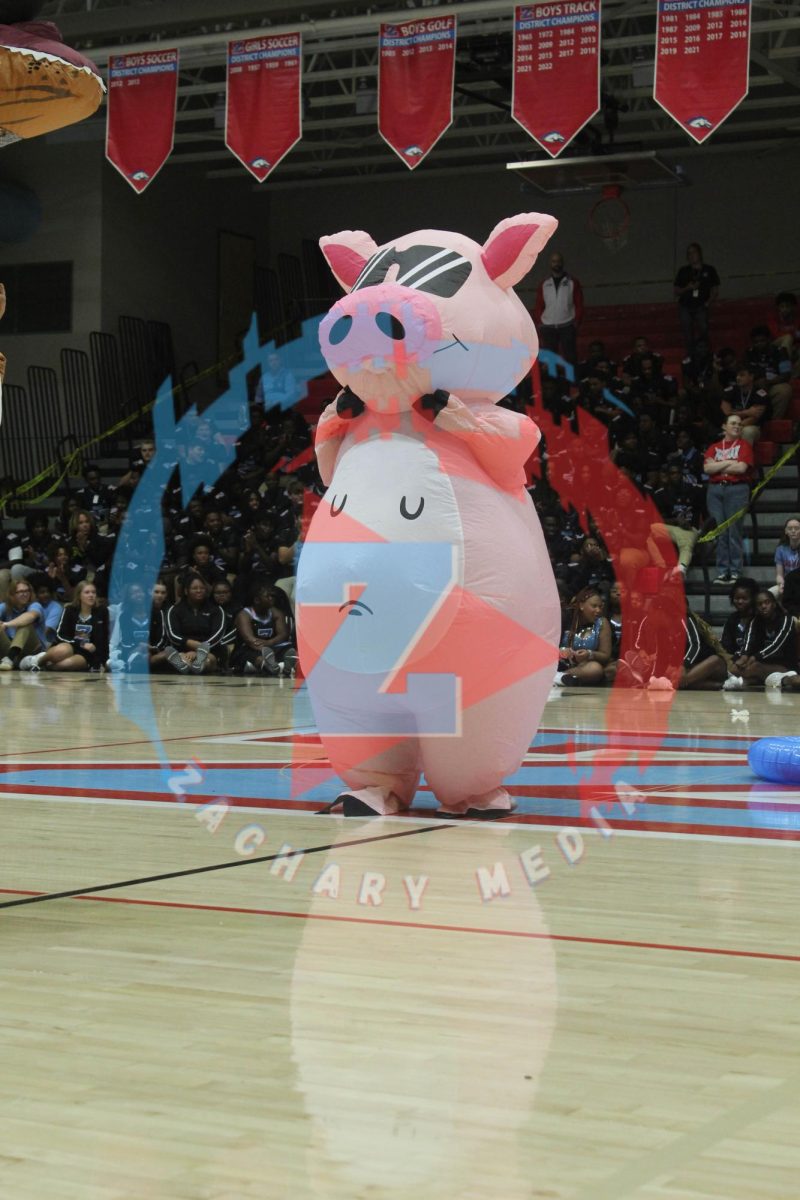 Luke Stein (10) goes out on the gym floor in a pig inflatable costume. 